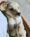 Indefinido 