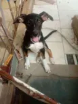 Meg