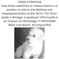 Atena