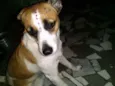 Nina