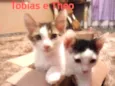 Tim/Thomas/Thom e Fl