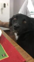 Tony