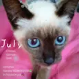 July