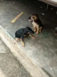 Não tenho certeza.