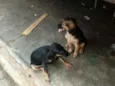 Não tenho certeza.