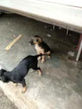 Não tenho certeza.
