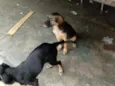 Não tenho certeza.