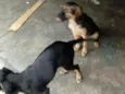 Não tenho certeza.