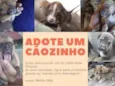 Não tem 