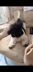 Billy