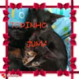 TODINHO & JUMA