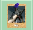 Nix