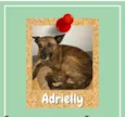 Adrielly