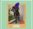 João