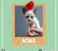 Nina