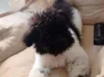 Billy