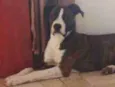 Zeus
