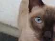 (Ainda não possui)
