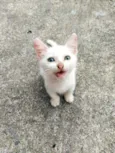Otis, Eleven