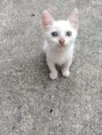Otis, Eleven