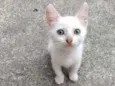 Otis, Eleven