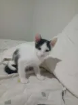 Não tem nomes