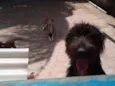 Bella e Lunna