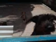 Bella e Lunna