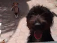 Bella e Lunna