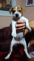 Mia