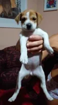 Mia