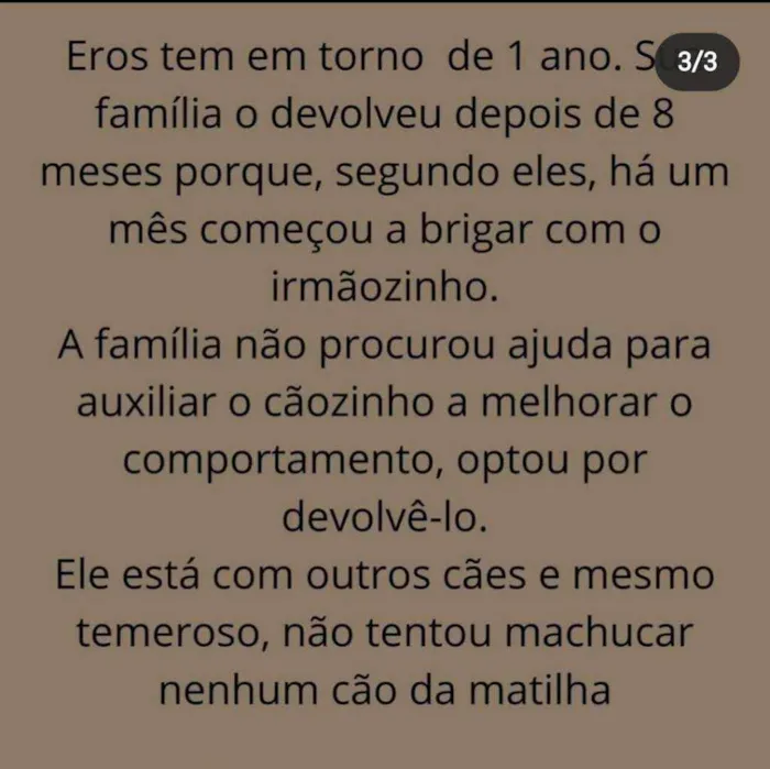 Cachorro ra a SRD idade 1 ano nome Eros