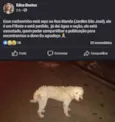 Perdido