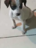Tobi