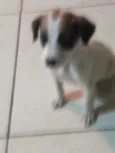 Tobi