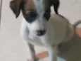 Tobi