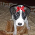 Lola