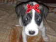 Lola