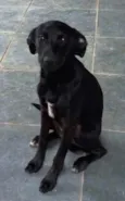 Pretinho