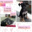 Teca