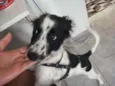 Duke