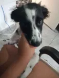 Duke