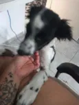 Duke