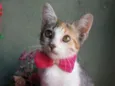 Penelope