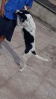 Frida