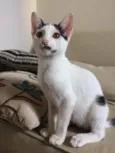 Barry