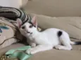 Barry