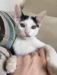 Barry