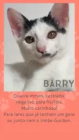Barry