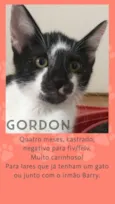 Gordon
